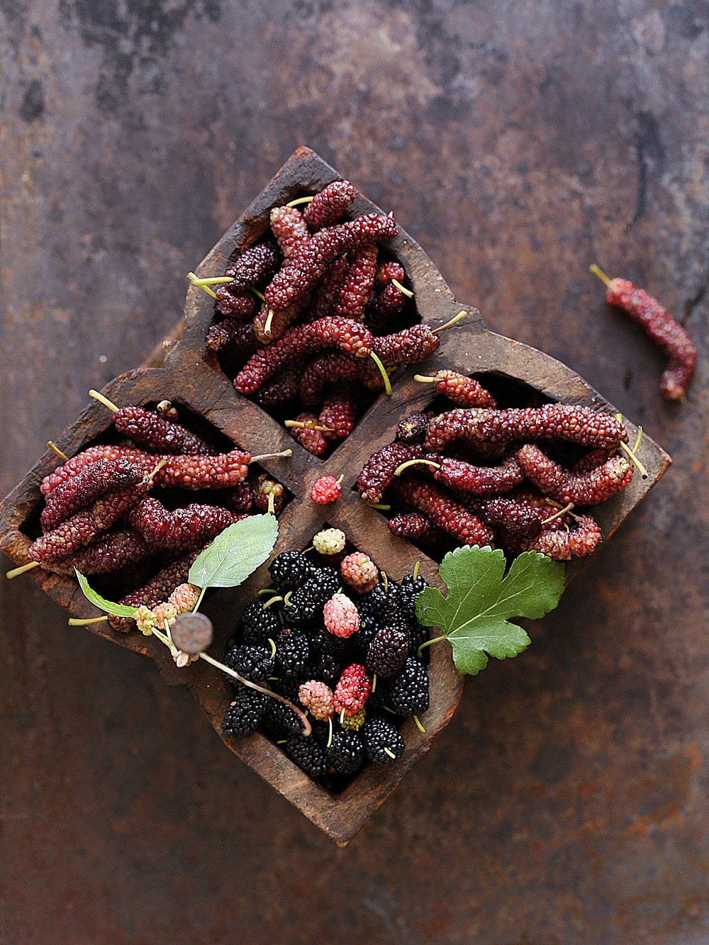 Mulberries / Shahtoot in season, North India. Styling & Photography